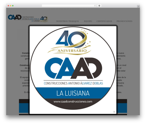 Bootstrap Basic free WP theme - caadconstrucciones.com