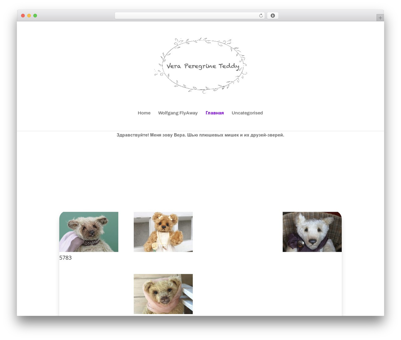 Divi WordPress theme - veraperegrine.ru
