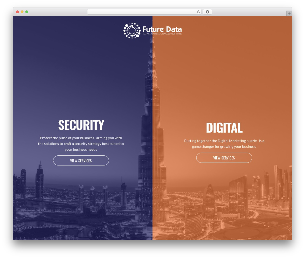 FUTURE DATA WordPress website theme - futuredatame.com