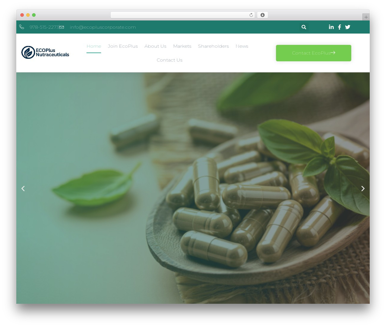 Hello Elementor WordPress theme - ecopluscorporate.com Hello Elementor WordPress theme - ecopluscorporate.com