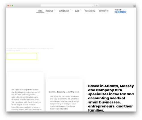 Leadsource WordPress plugin - masseyandcompanycpa.com