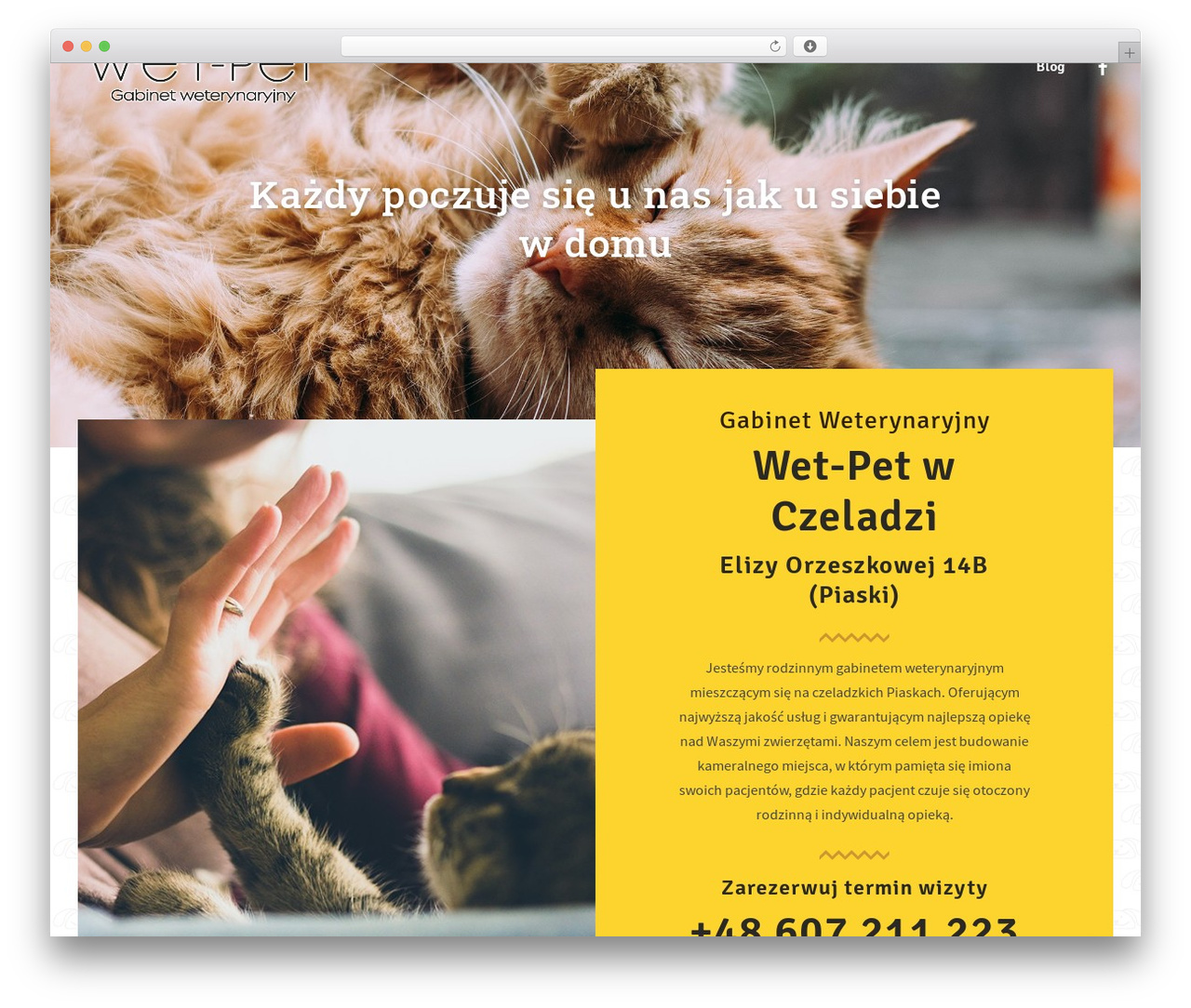 Pabu WordPress theme - wet-pet.pl Pabu WordPress theme - wet-pet.pl