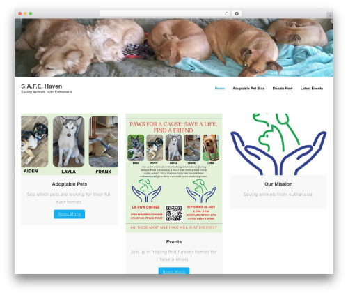 Shuttle WordPress theme - safehaventexas.com