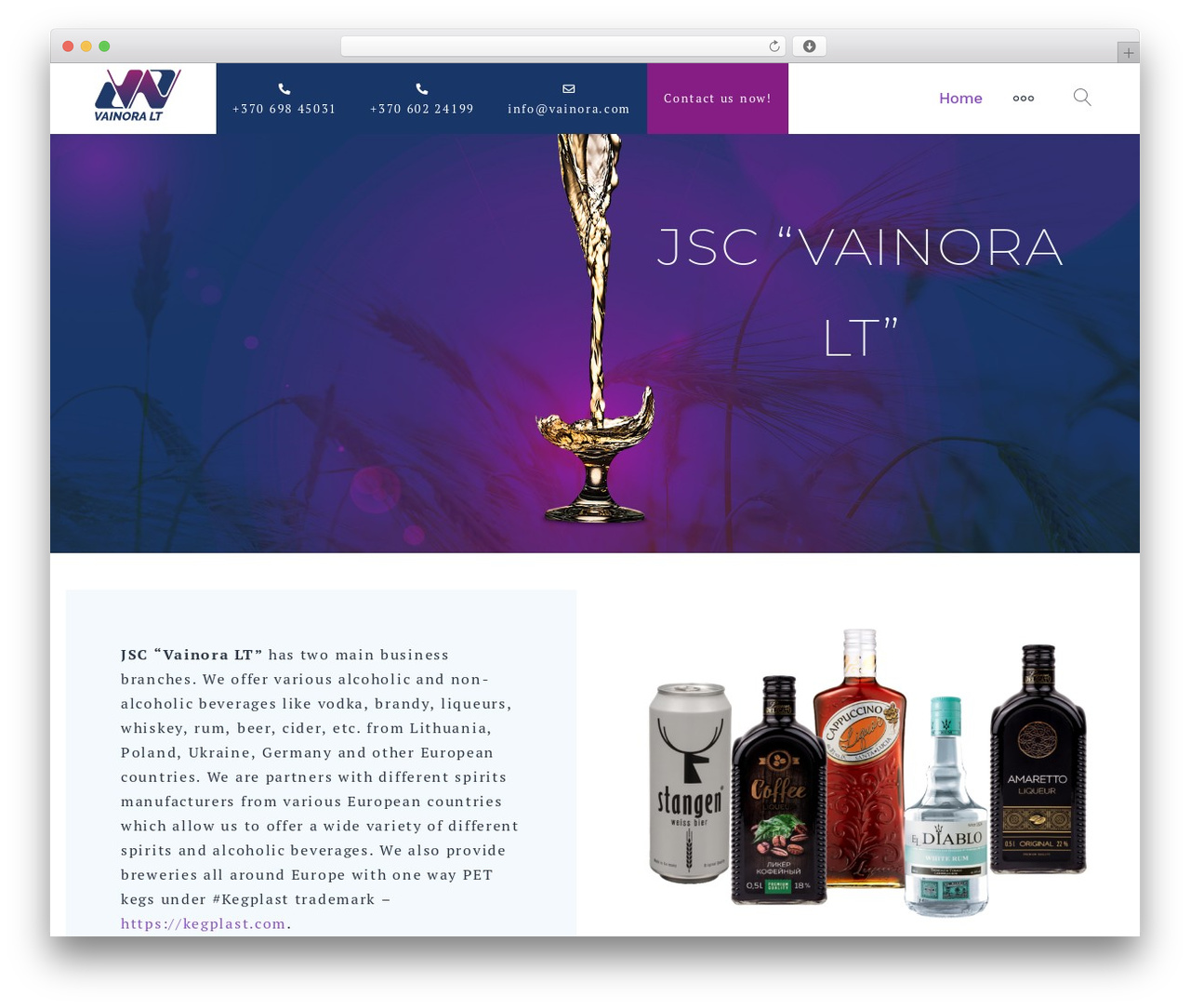 Best WordPress theme Getwid Base - vainora.com