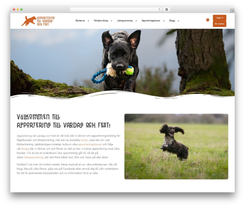 Hello Elementor WordPress theme - apporteringtillvardagochfest.se