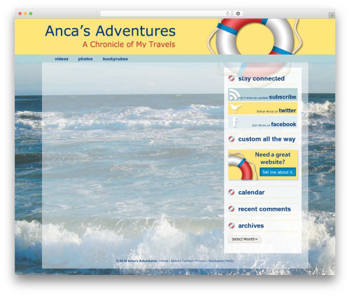 Sick network child WordPress plugin - 1anca.com