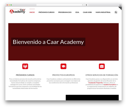 Cookillian WordPress plugin - caar.academy