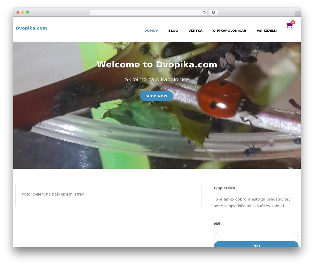 Algori Shop theme WordPress - dvopika.com