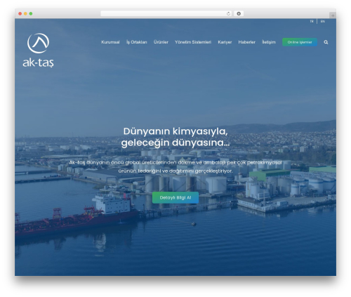 Avada WordPress theme - aktasdis.com