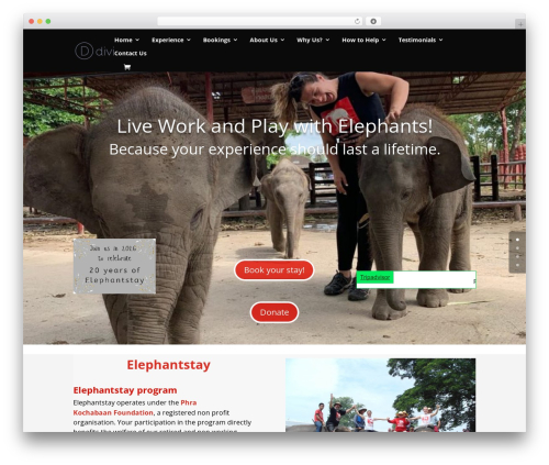 YouTube Gallery – YouTube Channel (yottie-lite) free WordPress plugin - elephantstay.com