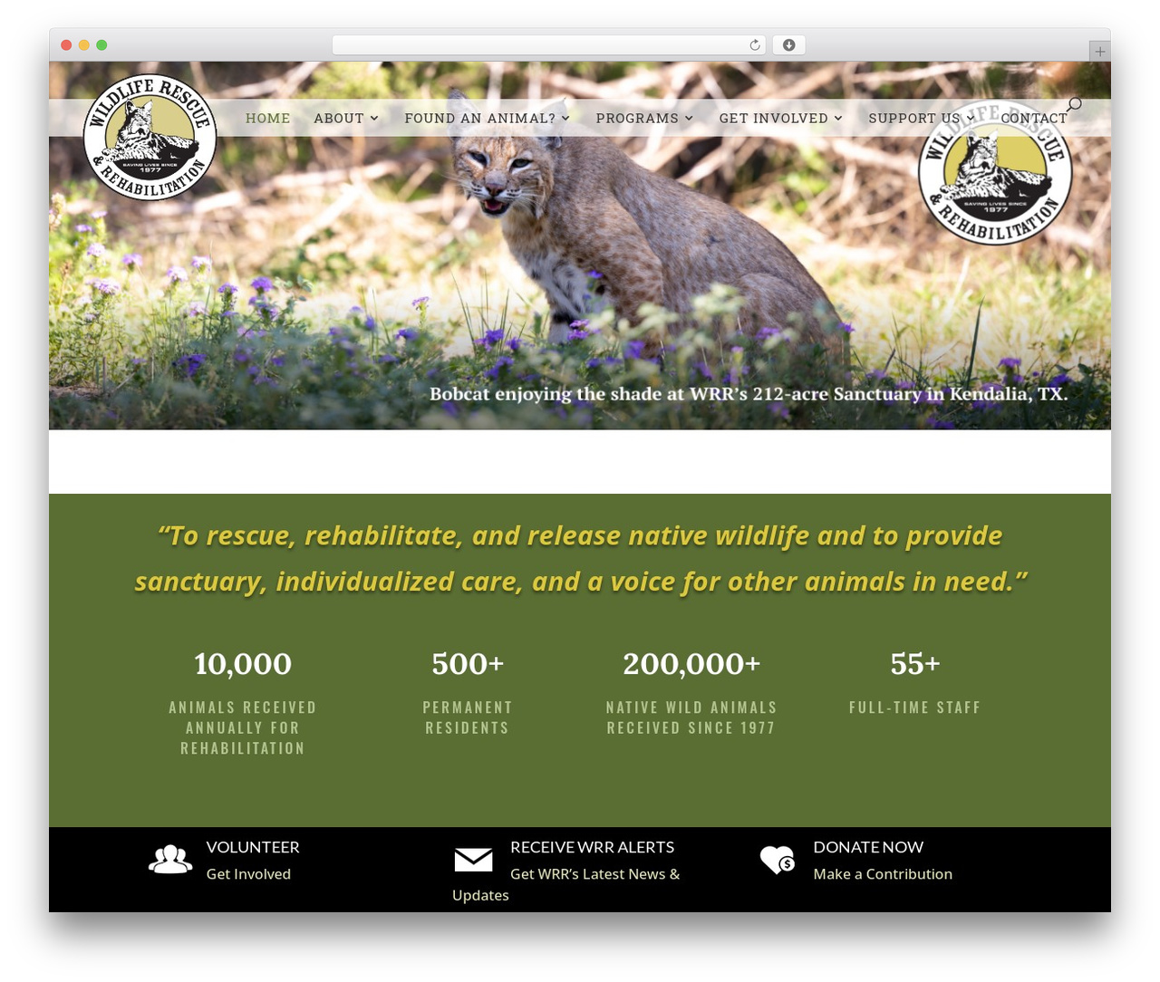 Divi WordPress theme - wildlife-rescue.org Divi WordPress theme - wildlife-rescue.org