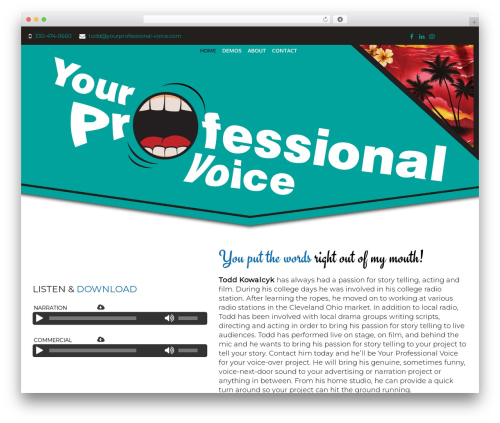 Simple stats WordPress plugin - yourprofessional-voice.com