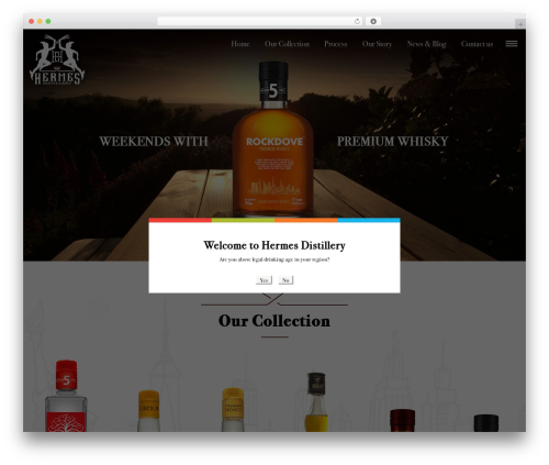 WP Modal Popup with Cookie Integration (wp-modal-popup-with-cookie-integration) free WordPress plugin - hermesdistil.com