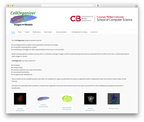 Connections circled WordPress plugin - cellorganizer.org