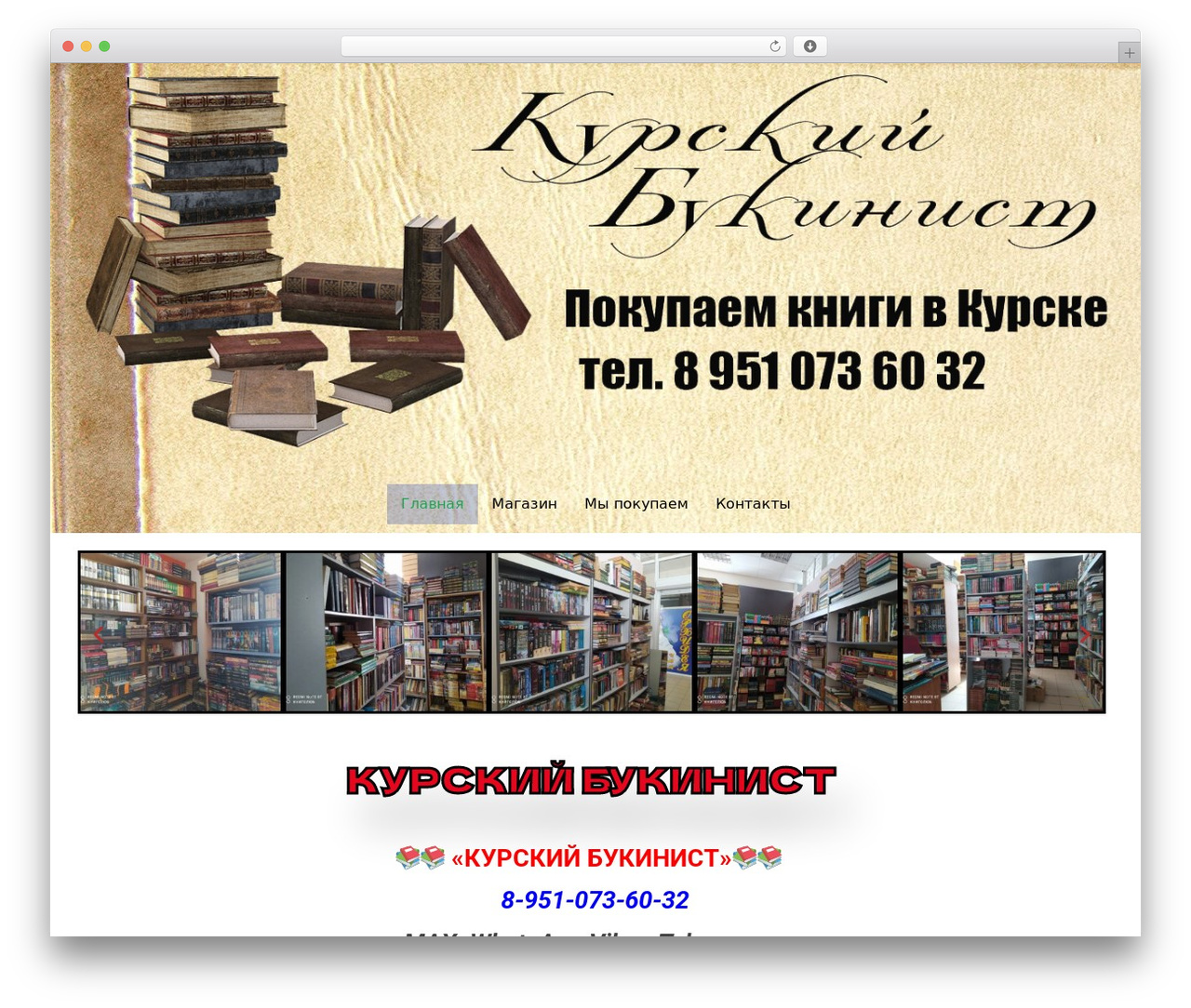 RedWaves Lite WordPress theme - kurskiy-bukinist.ru