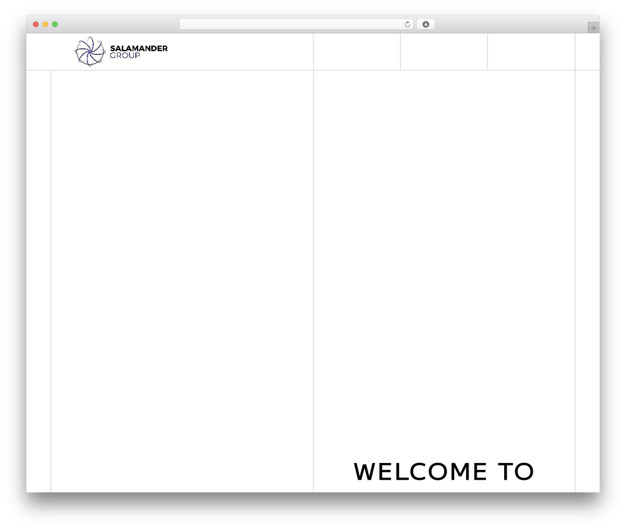 salamander WordPress theme - salamanderinternational.com salamander WordPress theme - salamanderinternational.com