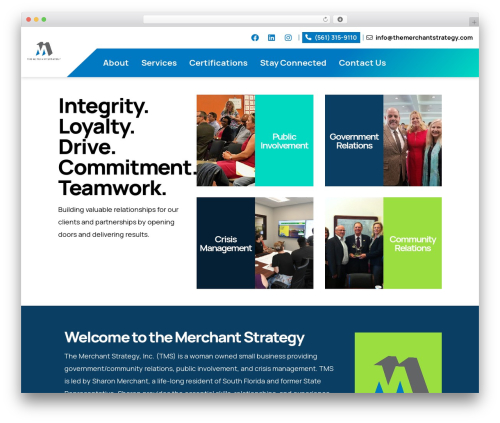 Theme Framework WordPress theme - themerchantstrategy.com