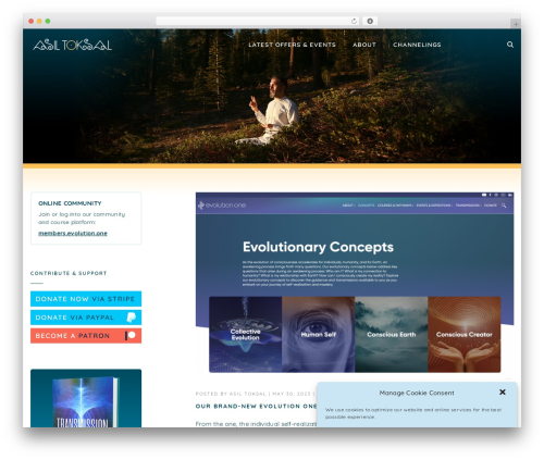 Side menu pro WordPress plugin - asiltoksal.com