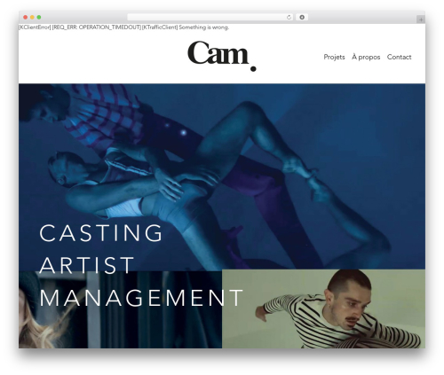 WordPress theme zelabtheme - agencecam.com