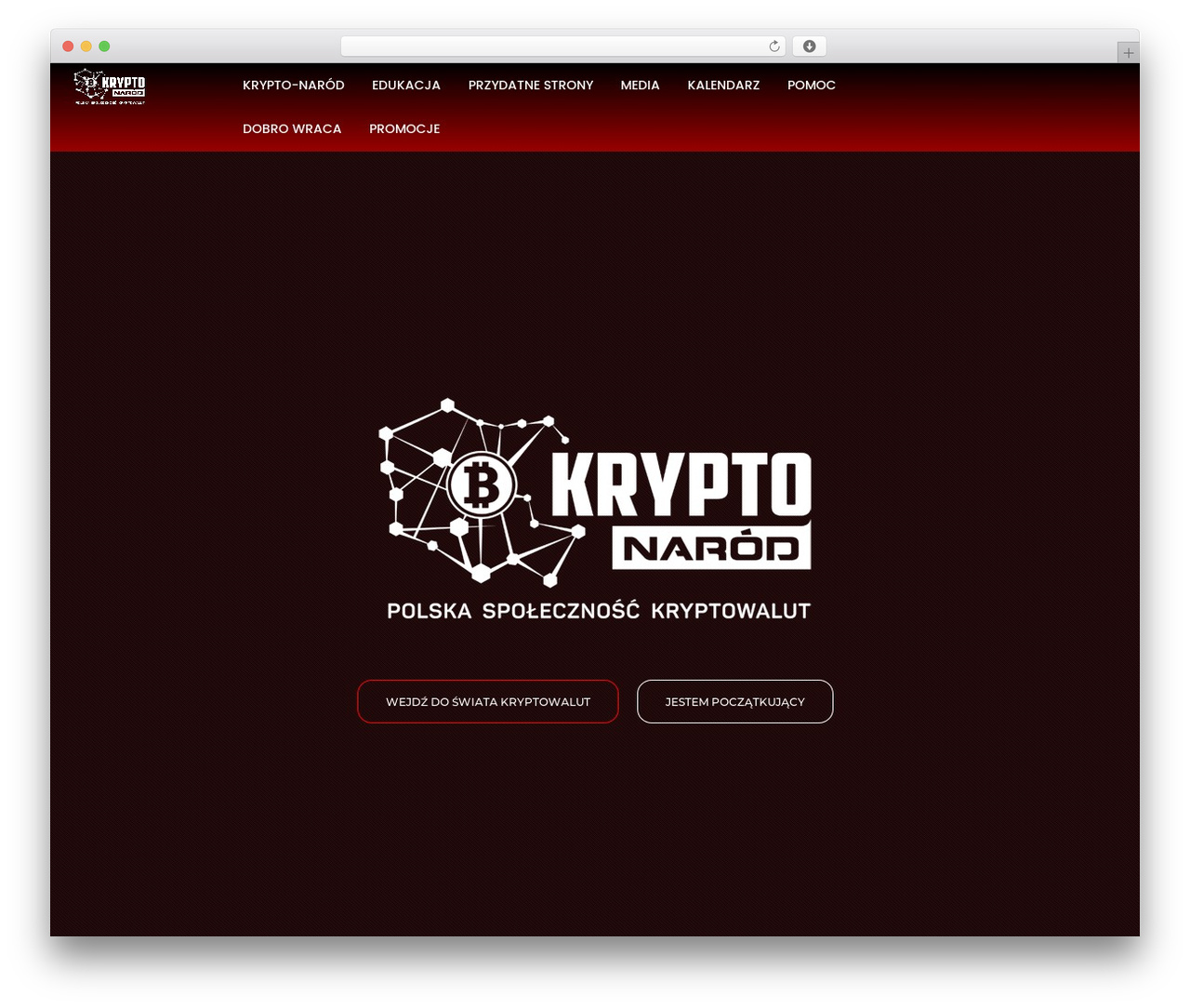 WP theme Brooklyn - krypto-narod.pl WP theme Brooklyn - krypto-narod.pl