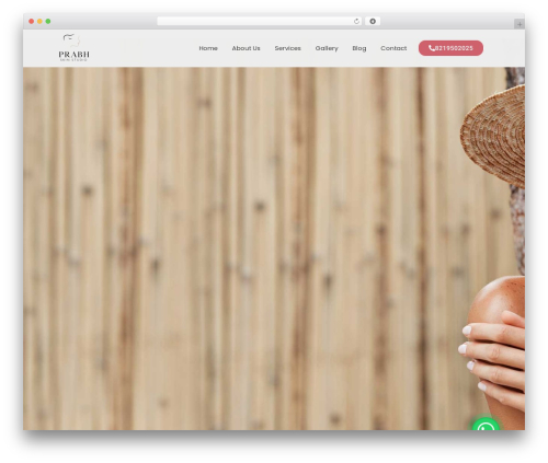 Amin chat button WordPress plugin - prabhskinstudio.online