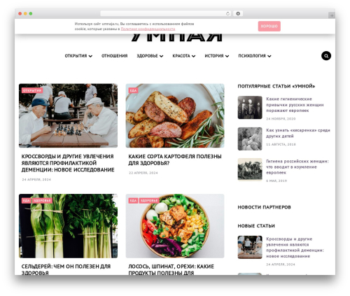 Best WordPress theme Carrino - umnaja.ru
