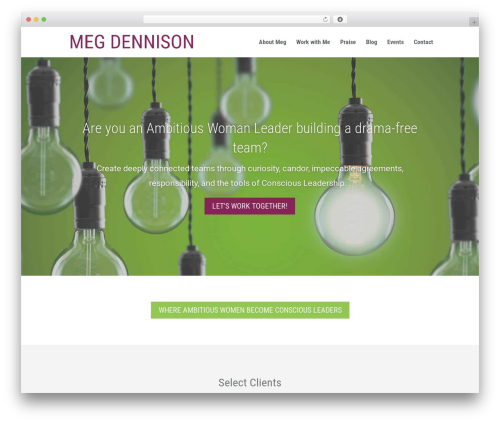 Divi theme WordPress - megdennison.com