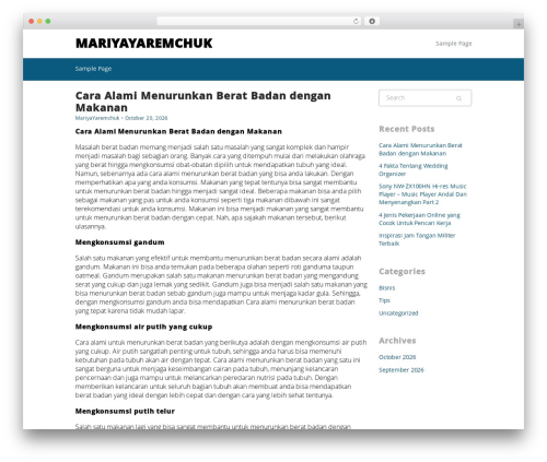 Freenity WordPress theme design - mariyayaremchuk.com