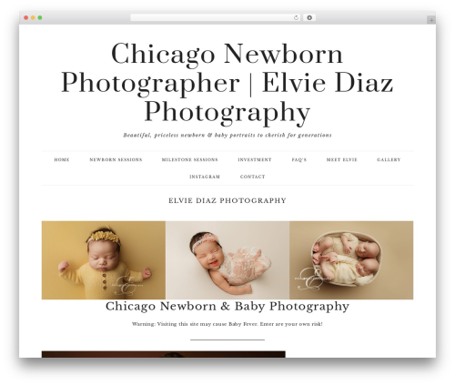 Ingrid WordPress theme - elviediazphotography.com