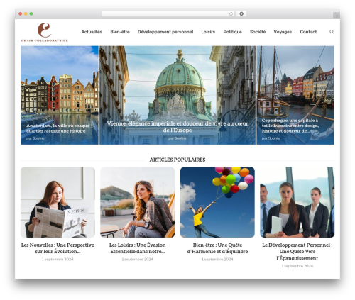 Toolinks posts WordPress plugin - chaircollaboratrice.com