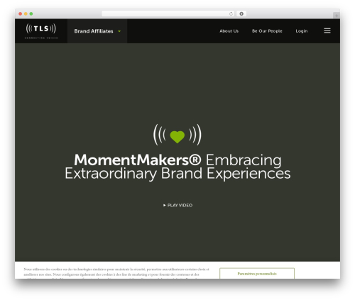 TBK Default Theme WordPress theme - tlscv.com