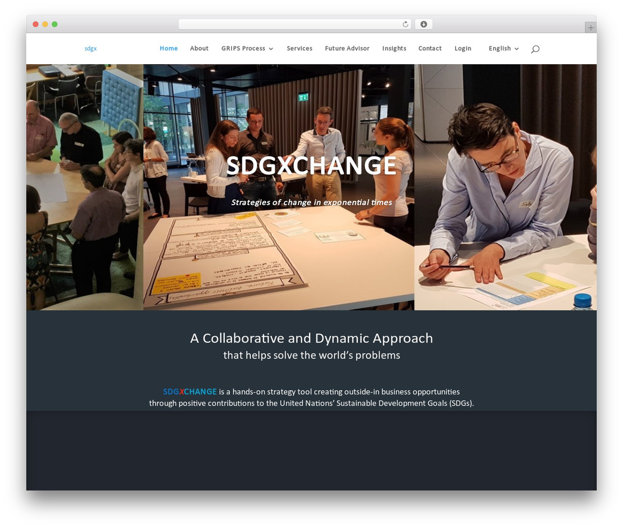 Theme WordPress Divi - sdgx.org