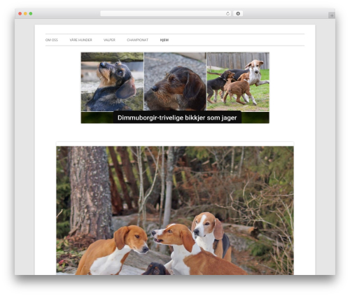 Tiny Framework WordPress theme free - jaktdachs.net Tiny Framework WordPress theme free - jaktdachs.net