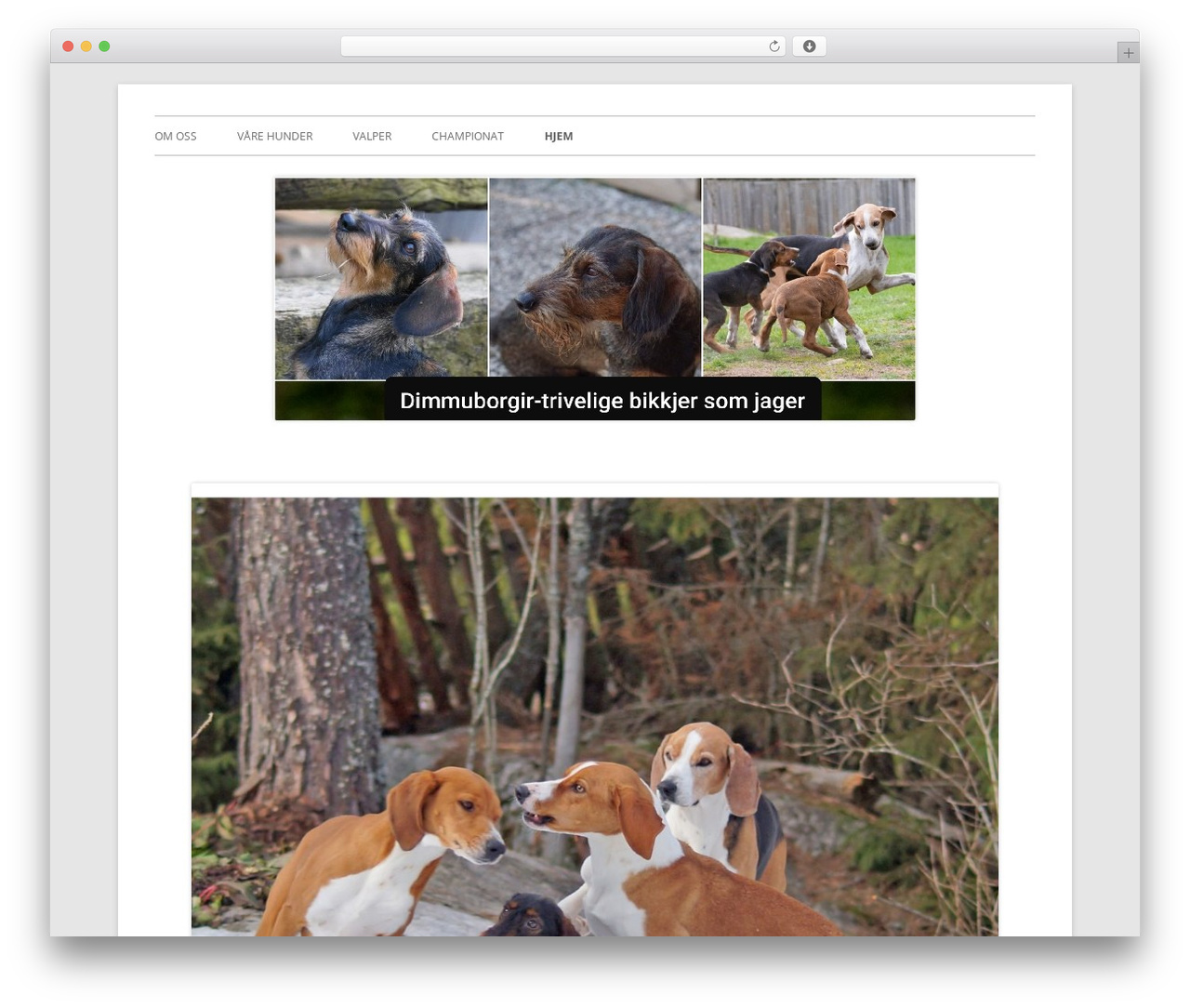 Tiny Framework WordPress theme free - jaktdachs.net Tiny Framework WordPress theme free - jaktdachs.net