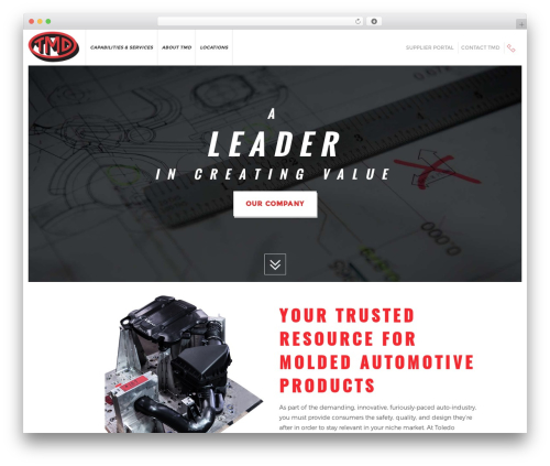 While Loading (while-it-is-loading) free WordPress plugin - tmdinc.com