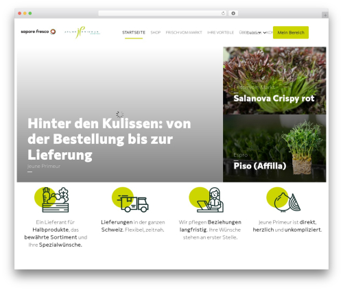 Ave core WordPress plugin - jeuneprimeur.ch