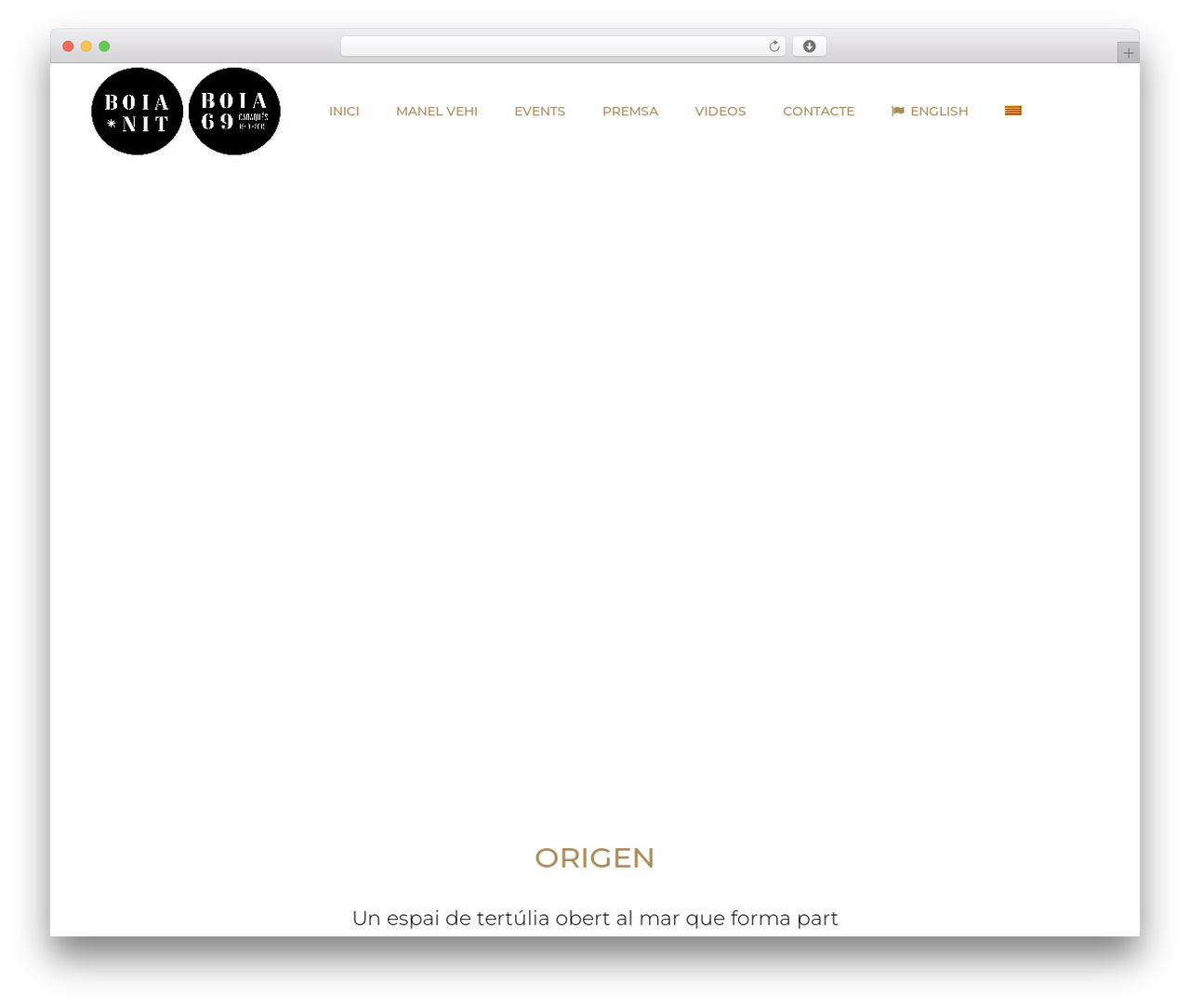 WordPress theme Bridge - boianit.com