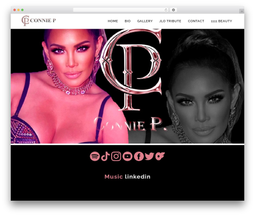 Wordpress social stream WordPress plugin - conniepena.com