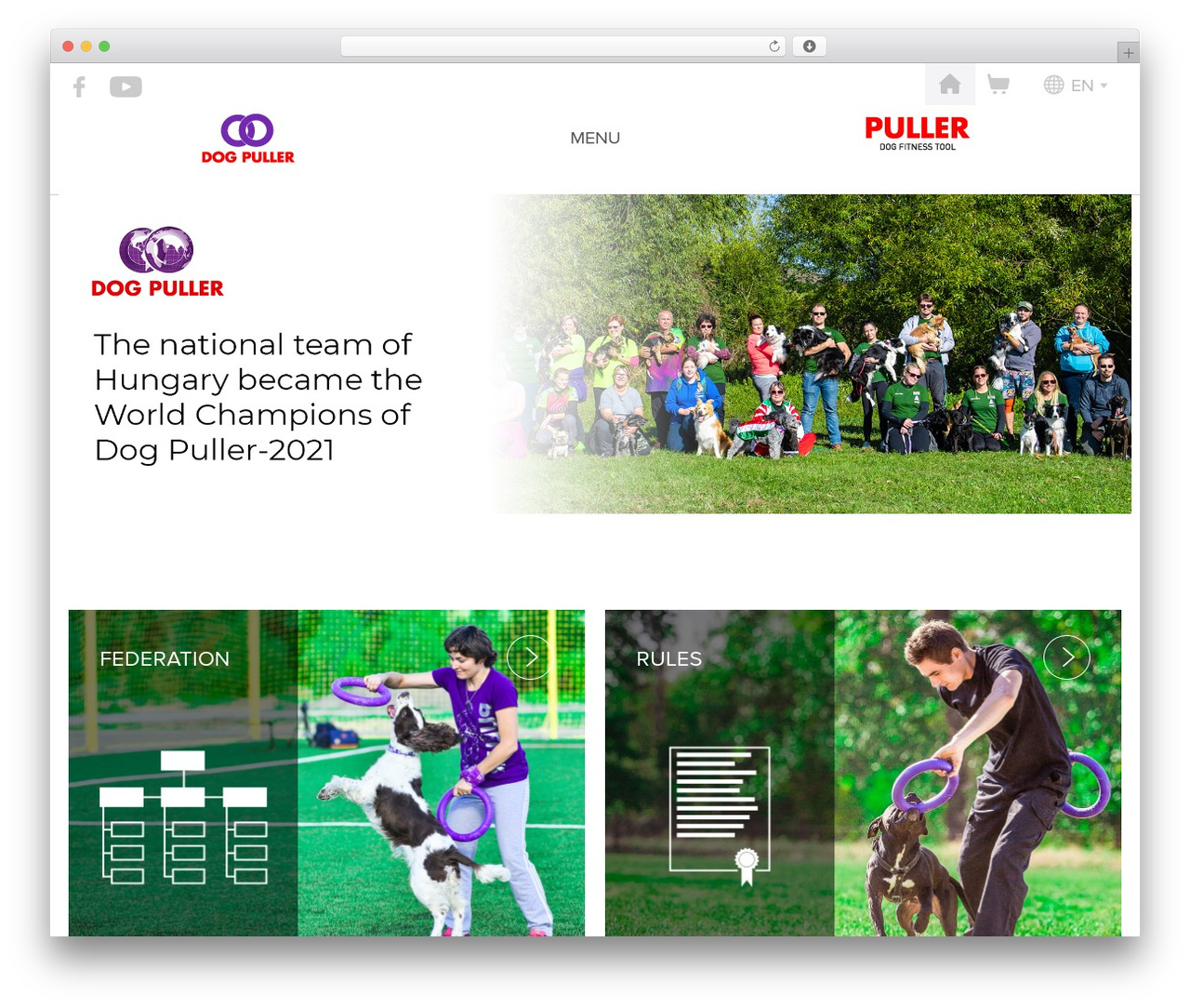 WordPress theme Puller - dogpuller.com WordPress theme Puller - dogpuller.com