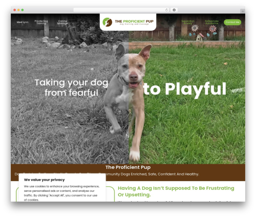 Beaver Builder Theme WordPress theme - theproficientpup.com