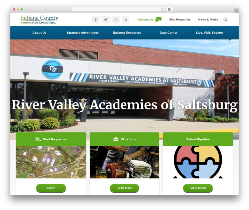 Wp hummingbird WordPress plugin - indianacountyceo.com