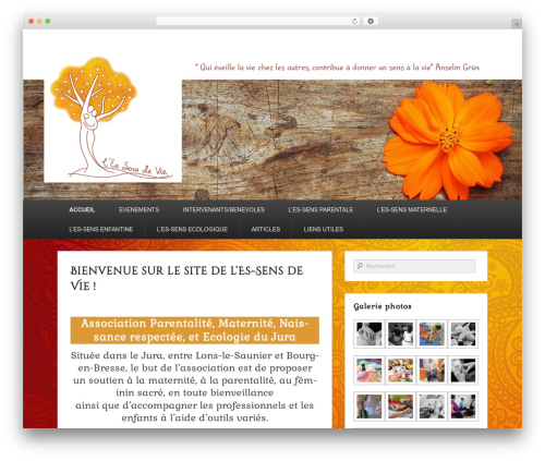 Simple google icalendar widget WordPress plugin - lessensdevie39.fr