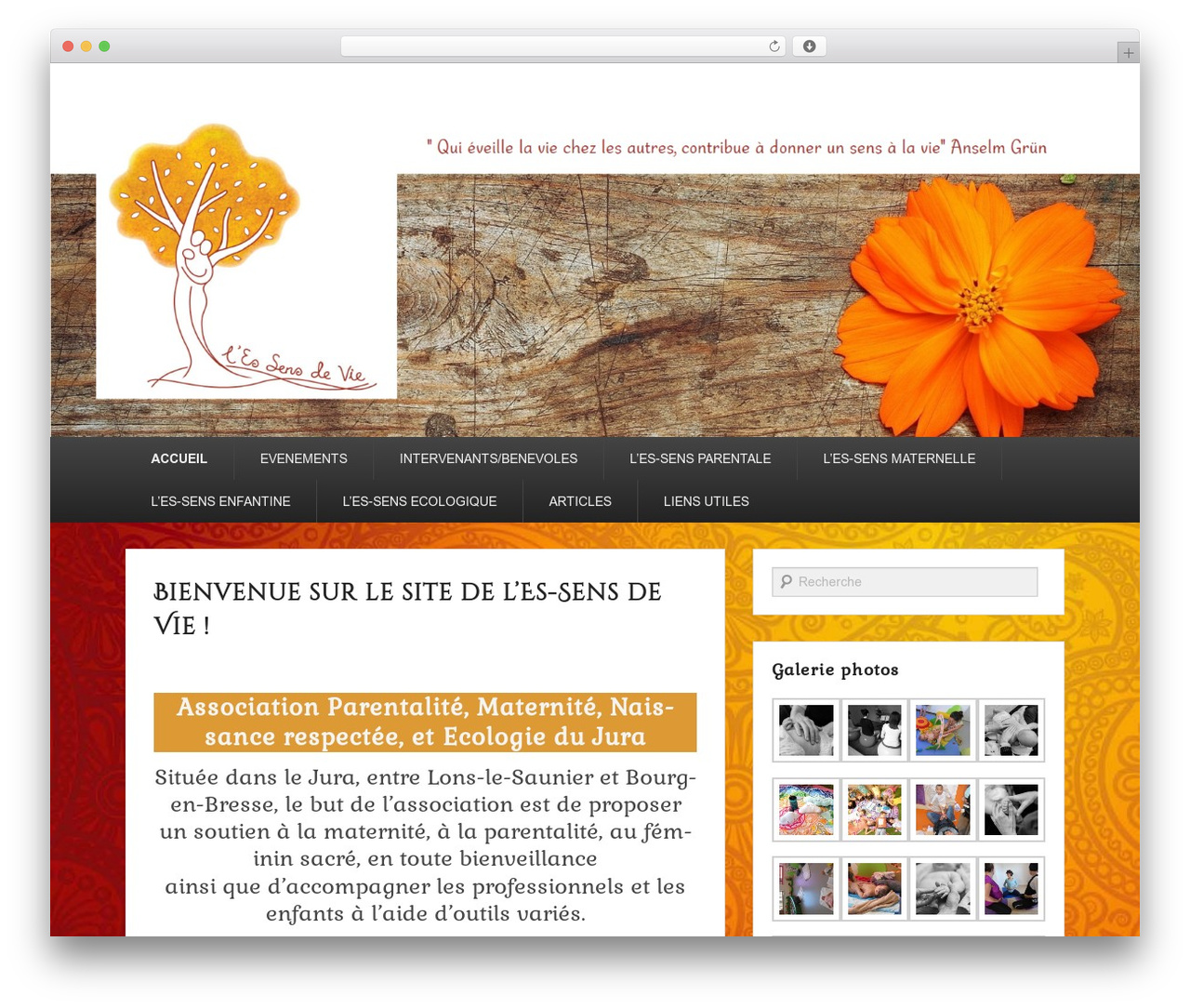 Catch Evolution WordPress theme - lessensdevie39.fr Catch Evolution WordPress theme - lessensdevie39.fr
