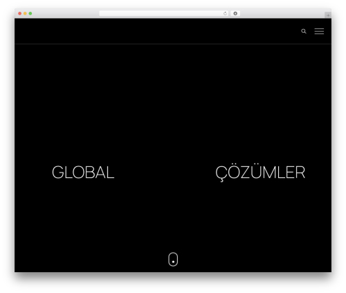 Digiwize WordPress theme - normsa.com