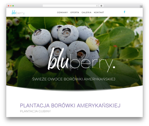 Live Visitor Counter (wp-visitors-widget) free WordPress plugin - bluberry.pl