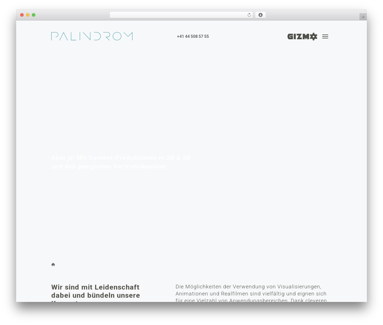 Divi top WordPress theme - palindrom.ch