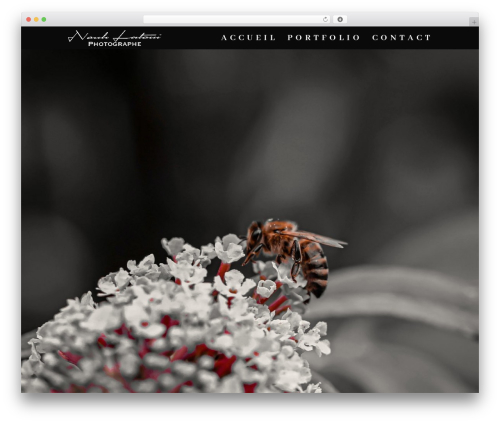 WP Search Insights – Privacy-Friendly Search Analytics (wp-search-insights) free WordPress plugin - nouh-photographe.ch WP Search Insights – Privacy-Friendly Search Analytics (wp-search-insights) free WordPress plugin - nouh-photographe.ch