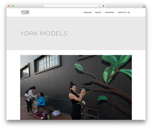 Kloe theme WordPress - yorkmodels.co.za