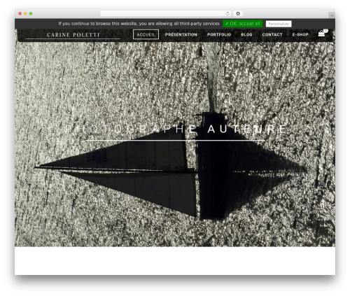 Rex theme WordPress - carinepoletti.com
