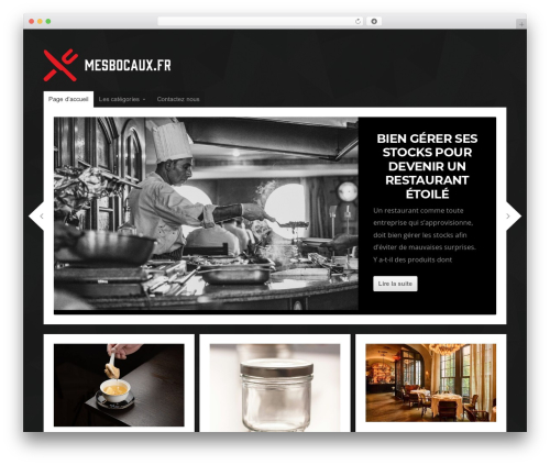 Post bot WordPress plugin - mesbocaux.fr